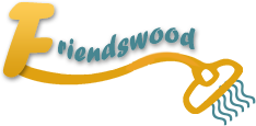 Carpet Cleaning Friendswood TX Logo